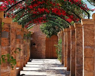 Casal Santa Eulalia - Can Picafort - Venkovní prostory