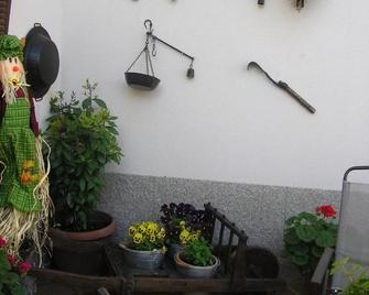 Casa de La Paca - Coca - Patio