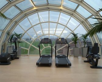 Ferretti Majestichouse - Castenedolo - Gym