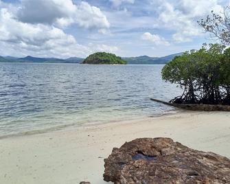 4 Bedroom Beach House with Pool - Coron - Beach