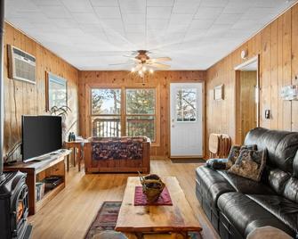Cozy Cottage On Grand Portage Lake, Right On Atv And Snowmobile Trail! - Mercer - Sala de estar