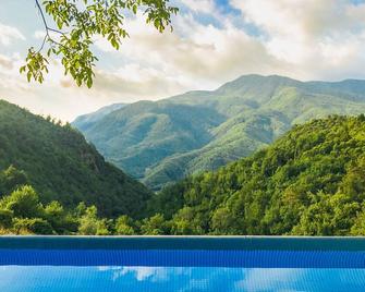 Luxurious Tranquil Mountain Retreat, with Pool - Molazzana - Vista del exterior
