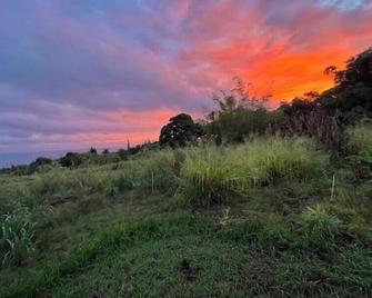 Terrific cottage with WiFi in Honokaa AKA'Upper House' - Honokaa - Outdoors view
