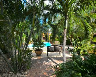 Wonders Boutique Hotel - Oranjestad - Piscina