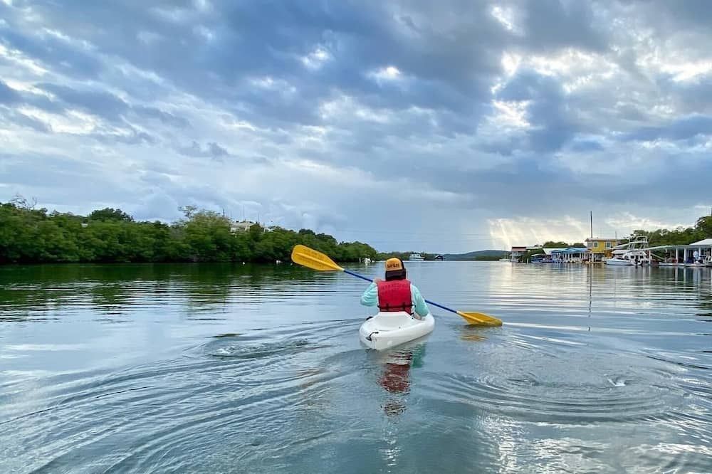 Turtle Bay Inn - Lajas
