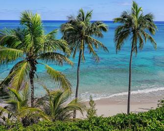 Trident Cottage 2 Bedroom Cottage - North Palmetto Point - Playa