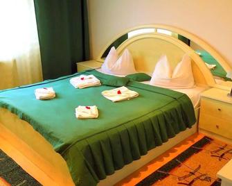 Pensiunea Red Rose Apartments - Timisoara - Habitación