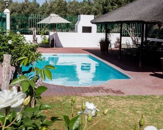Olive Grove Guest Farm - Beaufort West - Pool
