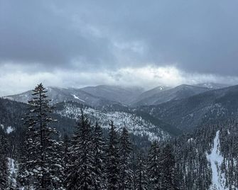 The Pines- Your Luxury Wallace Adventure Base - Wallace - Venkovní prostory
