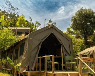 Safari Glamping Portugal Koi Fish - Ventosa