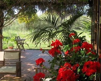 B&B Sa Ingia - Cabras - Binnenhof