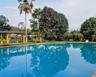 Puerto Quito Lodge - Puerto Quito - Piscina