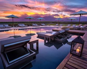 The Vines Resort And Spa - Tunuyán - Basen