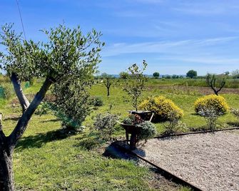 Il Noce Appartamento 2 - Misano Adriatico - Outdoors view