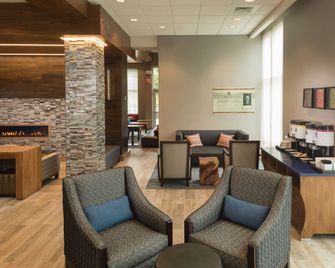 Hampton Inn & Suites Asheville Biltmore Village - אשוויל - לובי