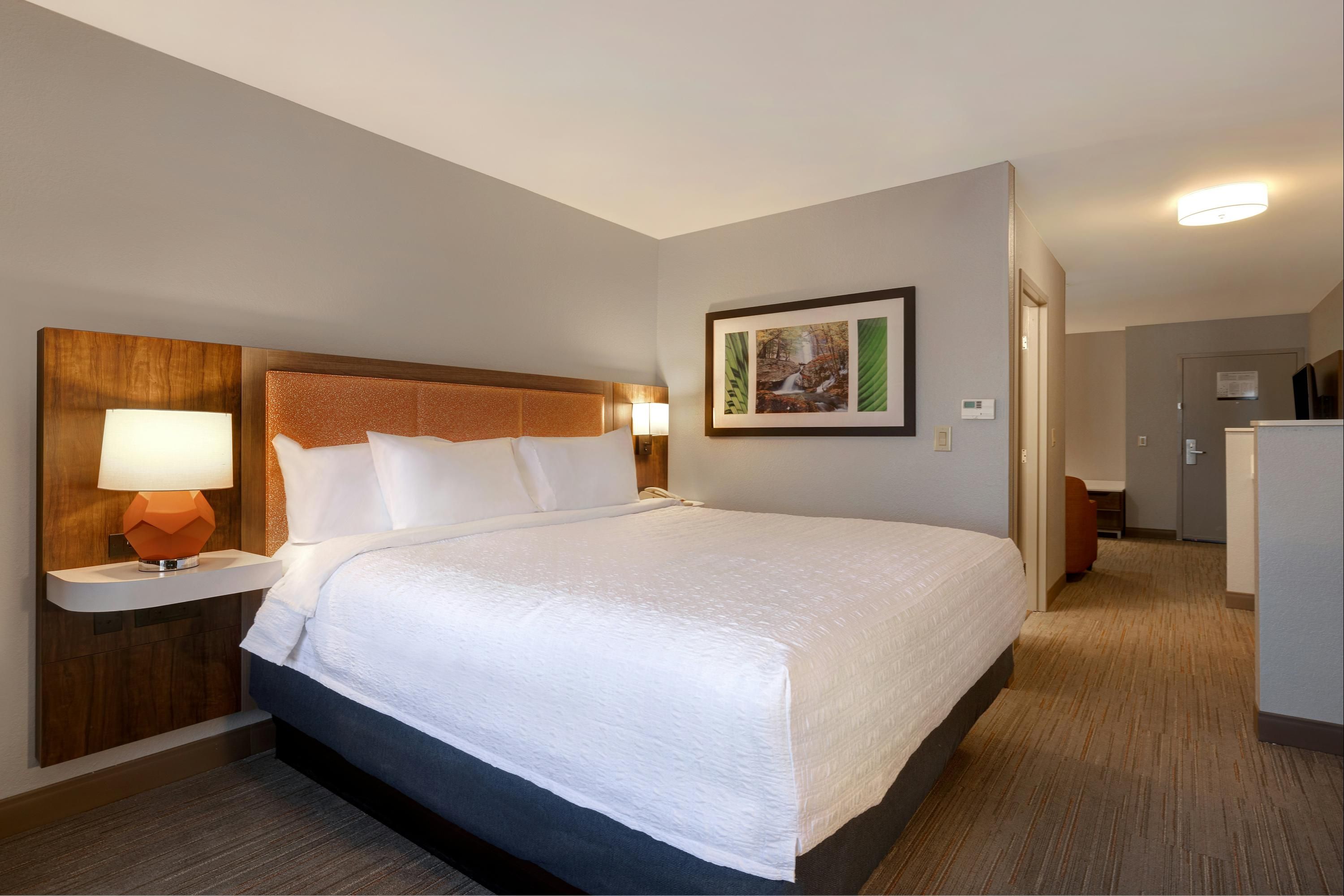 Hampton Inn Hot Springs - Hot Springs - Bedroom