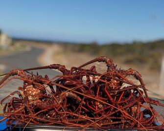 The Beach House Ledge Point - Lancelin