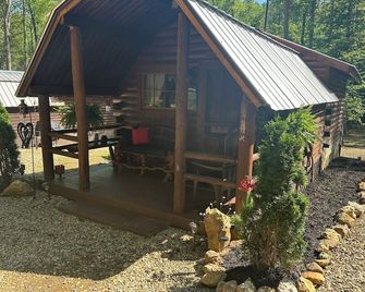 Big Bear Log cabin - Cosby - Patio