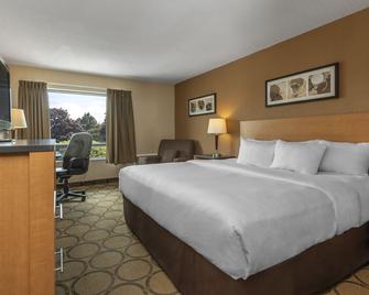 Comfort Inn South - Winnipeg - Bedroom