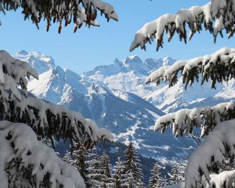 Vacation apartment in the middle of the magnificent panorama of the Montafon mountains - Vandans