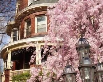 Wilson House Bed & Breakfast - Baltimore