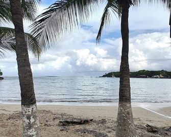 Charming 2-bedroom, 3 bed apartment, AC, WiFi, free parking in lovely West End - West End - Beach