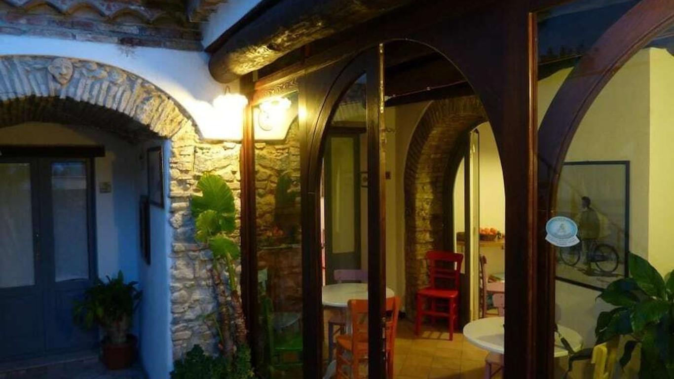 B&B Amphisya