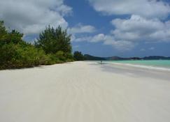 Heliconia Grove - Baie Sainte Anne - Strand