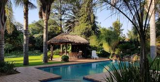 Six Valk Avenue Guest House - Johannesburg - Pool