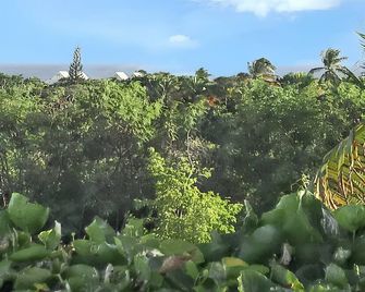 Maison familiale avec piscine privée à Saint-François - Saint-François (Guadeloupe) - Extérieur