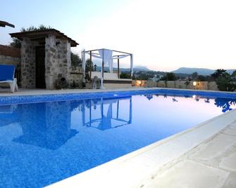 Simona Stone House - Neo Chorio - Piscina