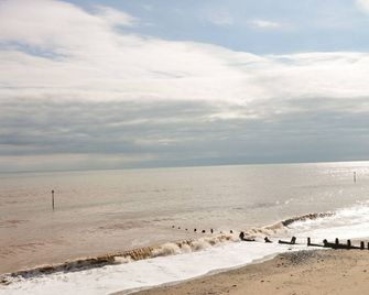 Daisy Nook - Kingston upon Hull - Strand