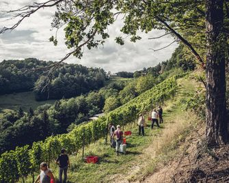 Landgut am Pößnitzberg - Leutschach