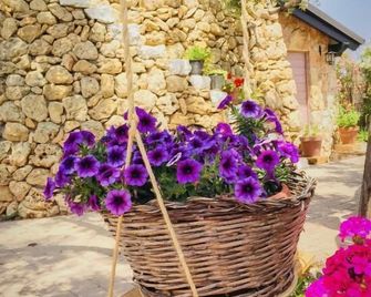 B&B Corallo - Alliste