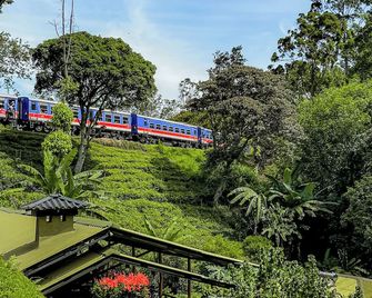 Train View Chalet - Bandarawela - Venkovní prostory