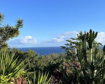 \'The land of Sunshine\' - fantastic ocean views, peaceful, romantic getaway - Honokaa - Outdoors view