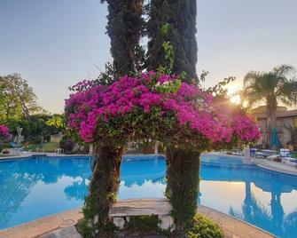 哈深達德拉諾里亞大酒店 - 阿瓜斯卡連特斯州 - 游泳池