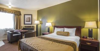 Econo Lodge Inn & Suites - High Level - Bedroom