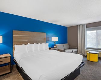 Comfort Inn & Suites Harrisburg-Hershey North - Harrisburg - Slaapkamer