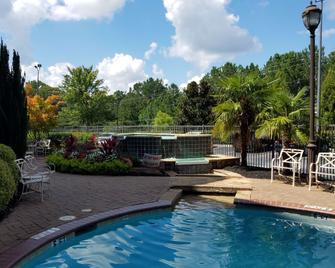 Hampton Inn & Suites ATL-Six Flags - Lithia Springs - Pool