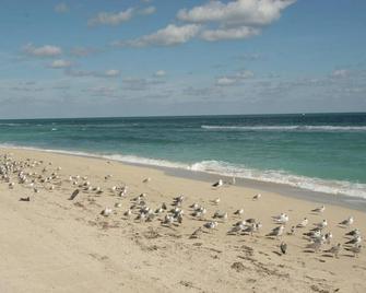 Beautiful 1 Bed Condo on the Beach in Surfside, Miami beach, Bal Harbour, pets - Surfside - Beach
