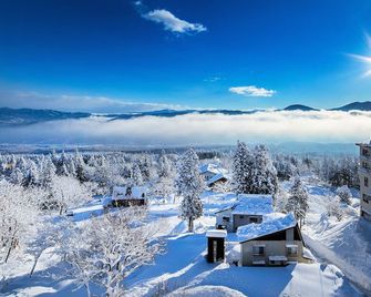 Yunoyado Mochizuki - Myoko - Vista esterna
