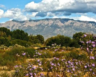 Casita, with views of Volcanoes, and the Sandia Mountains. - Rio Rancho - Kitchen