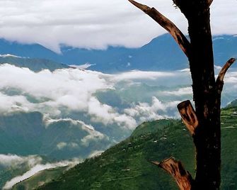 The Mountain Quail - Mussoorie