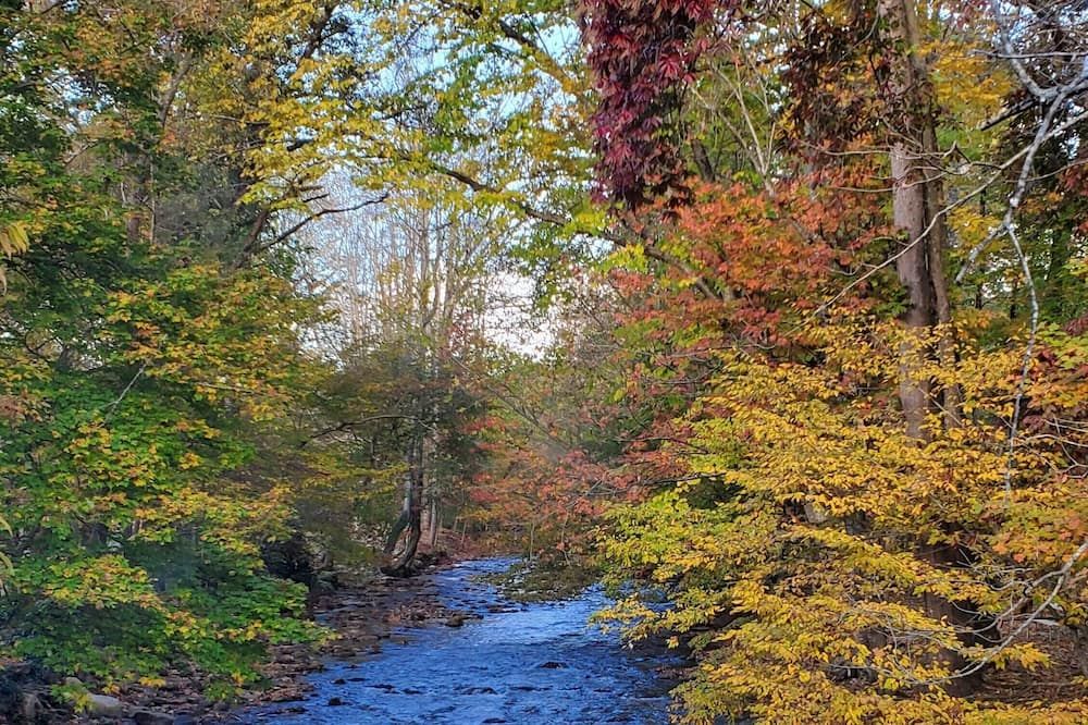 Cozy Creek Cottages - Maggie Valley - Udsigt