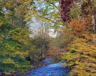 Cozy Creek Cottages - Maggie Valley - Udsigt