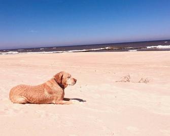 'Fisherman's house in the dunes' at the Baltic Sea in Poland - Mielenko - Beach
