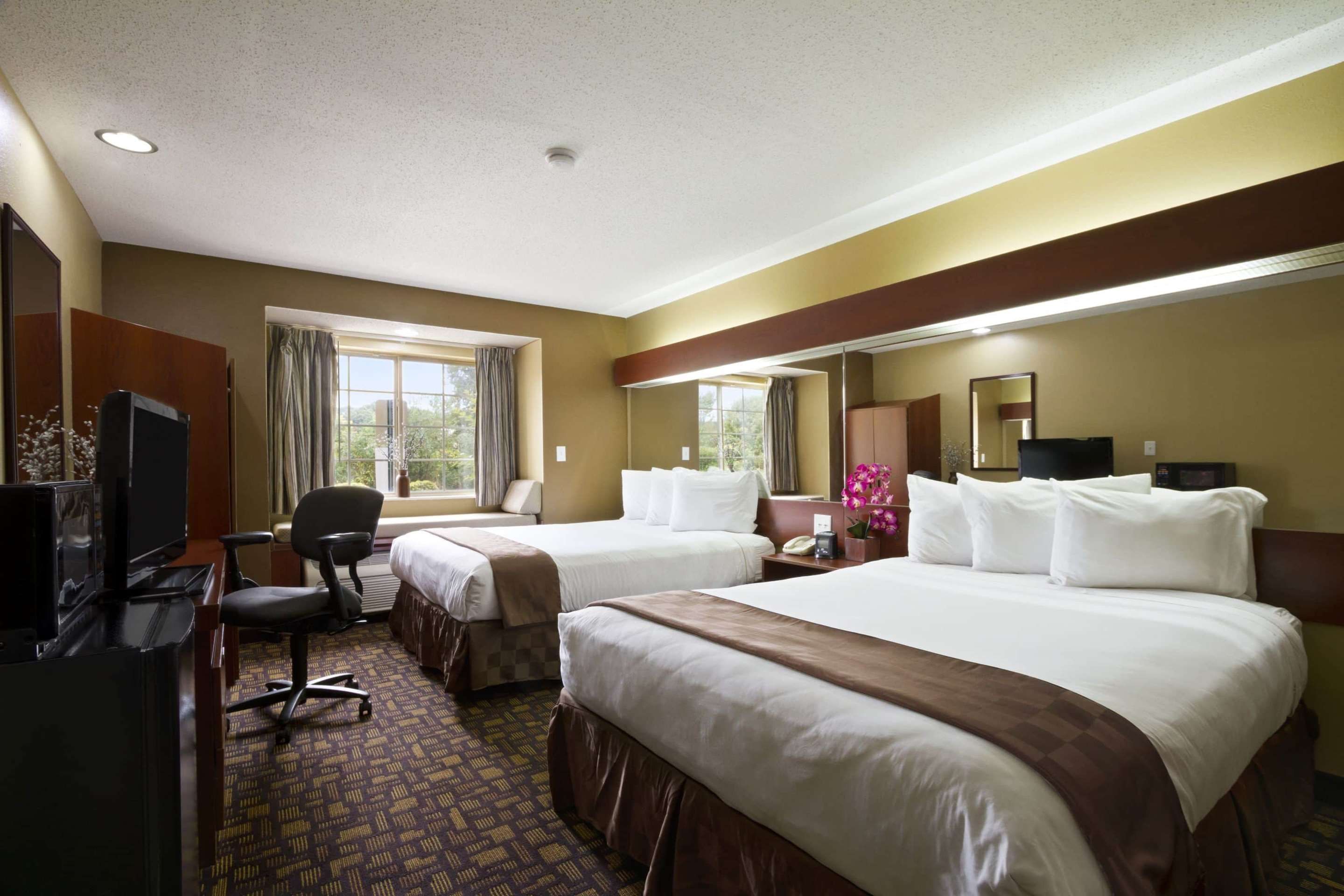 Microtel Inn & Suites by Wyndham Lithonia/Stone Mountain - Lithonia - Спальня