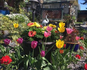 Private Self Contained Studio Cottage - Victoria - Outdoors view