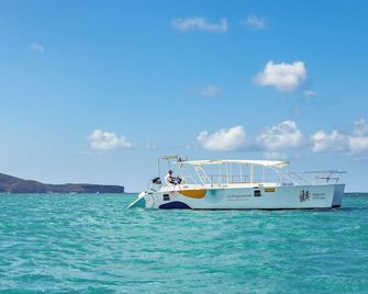Lagoon Attitude (Adults Only) - Petit Paquet